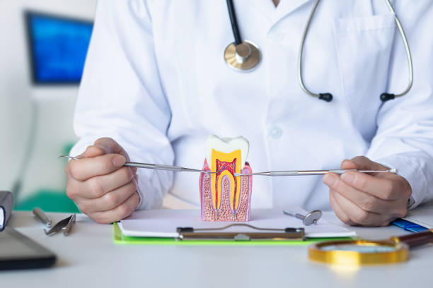 Best After-Hours Dental Trauma Care in Wilson Conococheague, MD